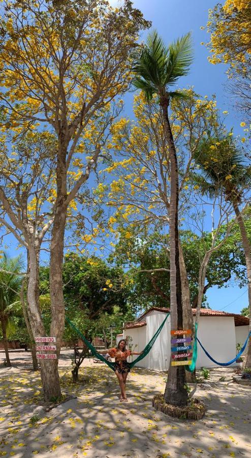 Pousada Paraiso Verao جيجوكا دي جيريكواكوارا المظهر الخارجي الصورة